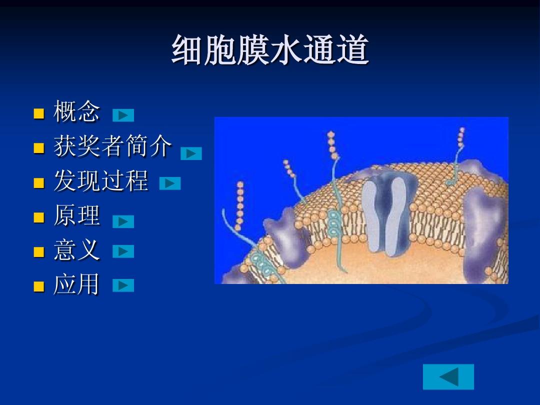 細(xì)胞膜通道_細(xì)胞膜通道的功能狀態(tài)_細(xì)胞膜通道種類與特點(diǎn)