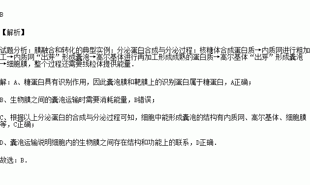細胞膜受體的作用機制_細胞膜受體往往是什么_細胞膜受體