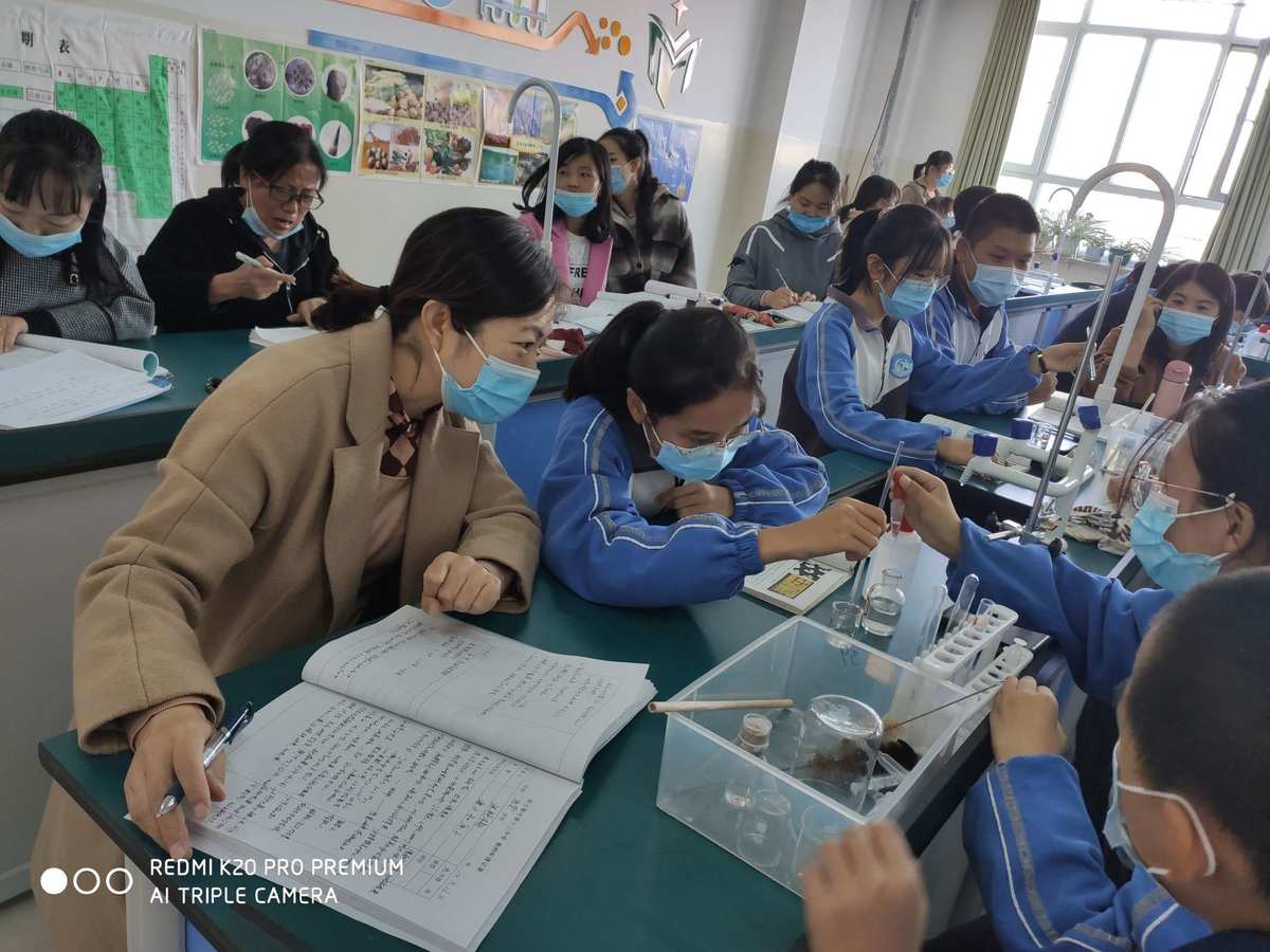 物理高中反思教學方法_高中物理教學反思_高中物理課堂教學反思