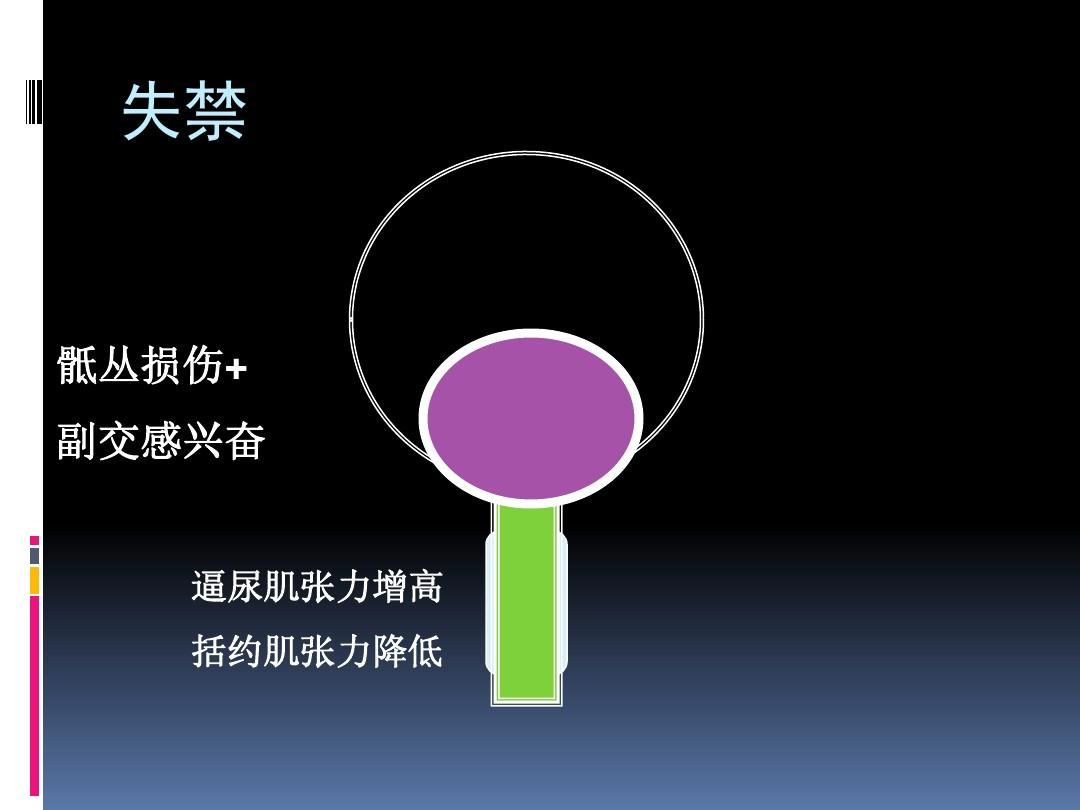 細胞膜受損得什么病_細胞膜損傷_細胞膜受損會怎么樣