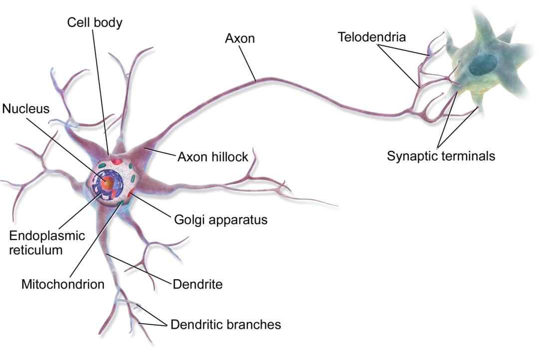 物理學家科學家_物理學界的科學家_請問物理學家