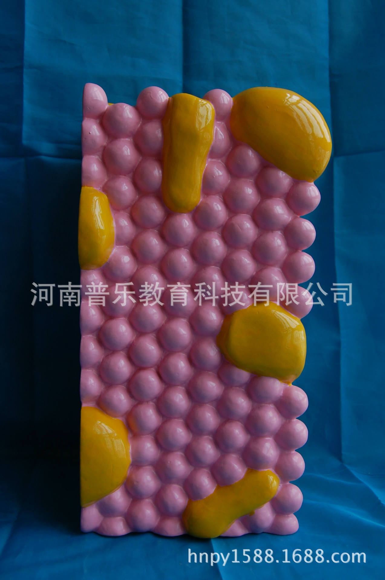 流動鑲嵌模型是細胞膜嗎_細胞膜的流動鑲嵌模型_細胞膜的流動鑲嵌模型制作