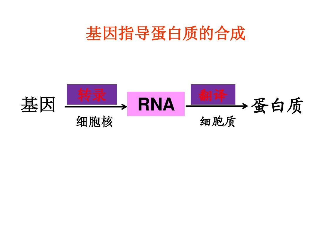 細胞膜蛋白_細胞膜蛋白的主要功能_細胞膜蛋白是胞內(nèi)蛋白嗎