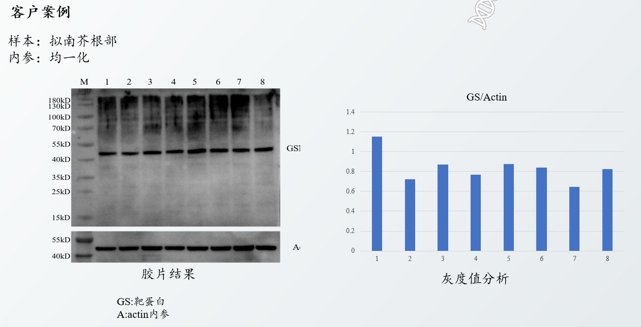 細胞膜蛋白是胞內蛋白嗎_細胞的膜蛋白_細胞膜蛋白