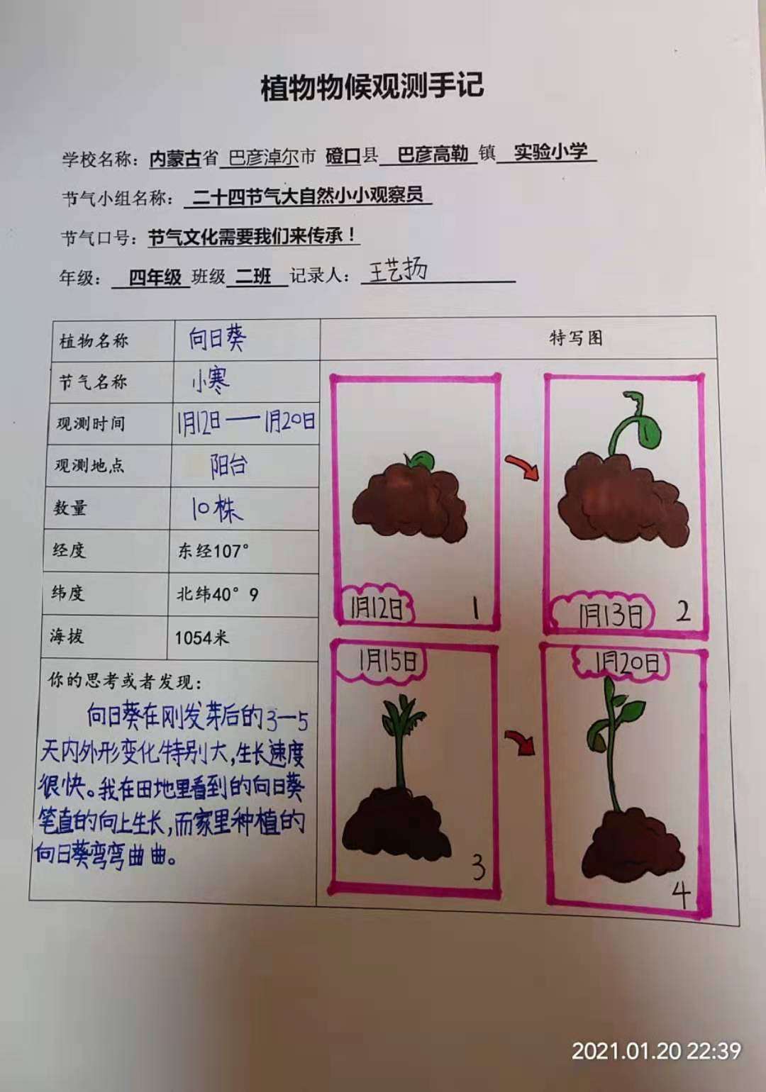 實驗觀察種子的結構視頻_種子的實驗視頻_觀察種子的結構實驗視頻