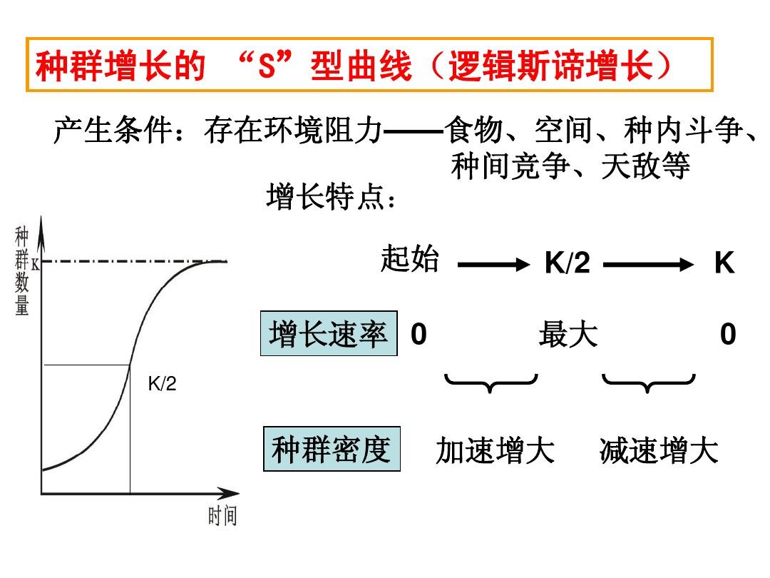 測量平均速度教學設計_測量平均速度優秀教案_測量平均速度的教學設計