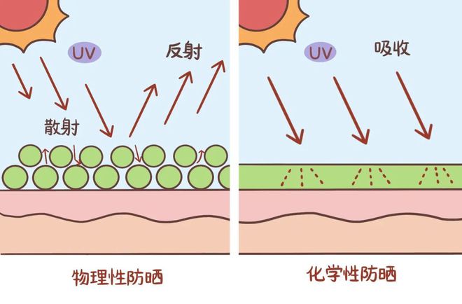 化學和物理防曬的區別_防曬化學和物理防曬的區別_防曬物理和化學防曬哪個好