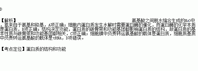 細胞膜結構圖_膜結構細胞器_細胞膜構型