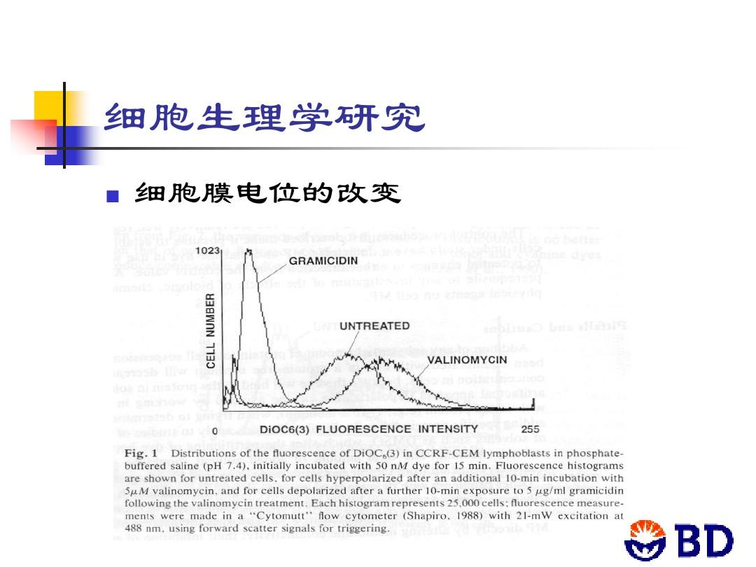 膜細胞恢復極化狀態稱去極化嗎_細胞膜處于極化狀態_細胞膜去極化后恢復到原來的狀態 稱為
