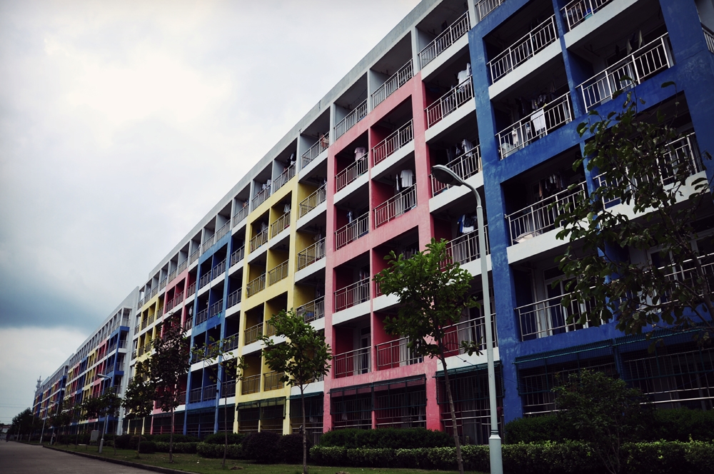 物理科學學院青島大學_青島大學物理學院_青島物理學院大學專業排名