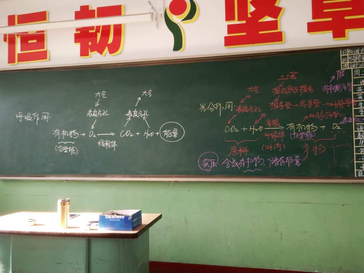板書能力是什么意思_板書設(shè)計(jì)力求_二力平衡板書圖片
