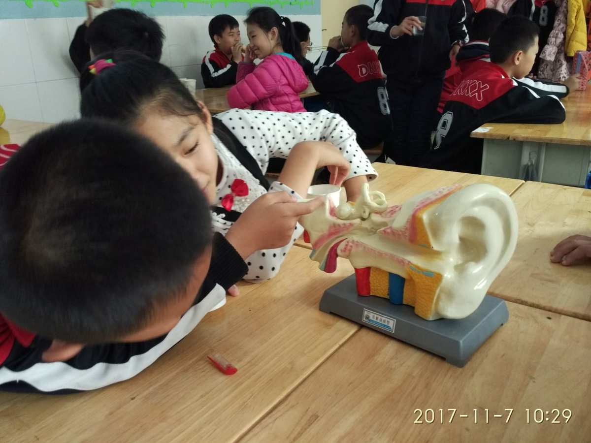 特性反思教學聲音怎么寫_聲音的特性教學設計教學反思_聲音的特性教學反思