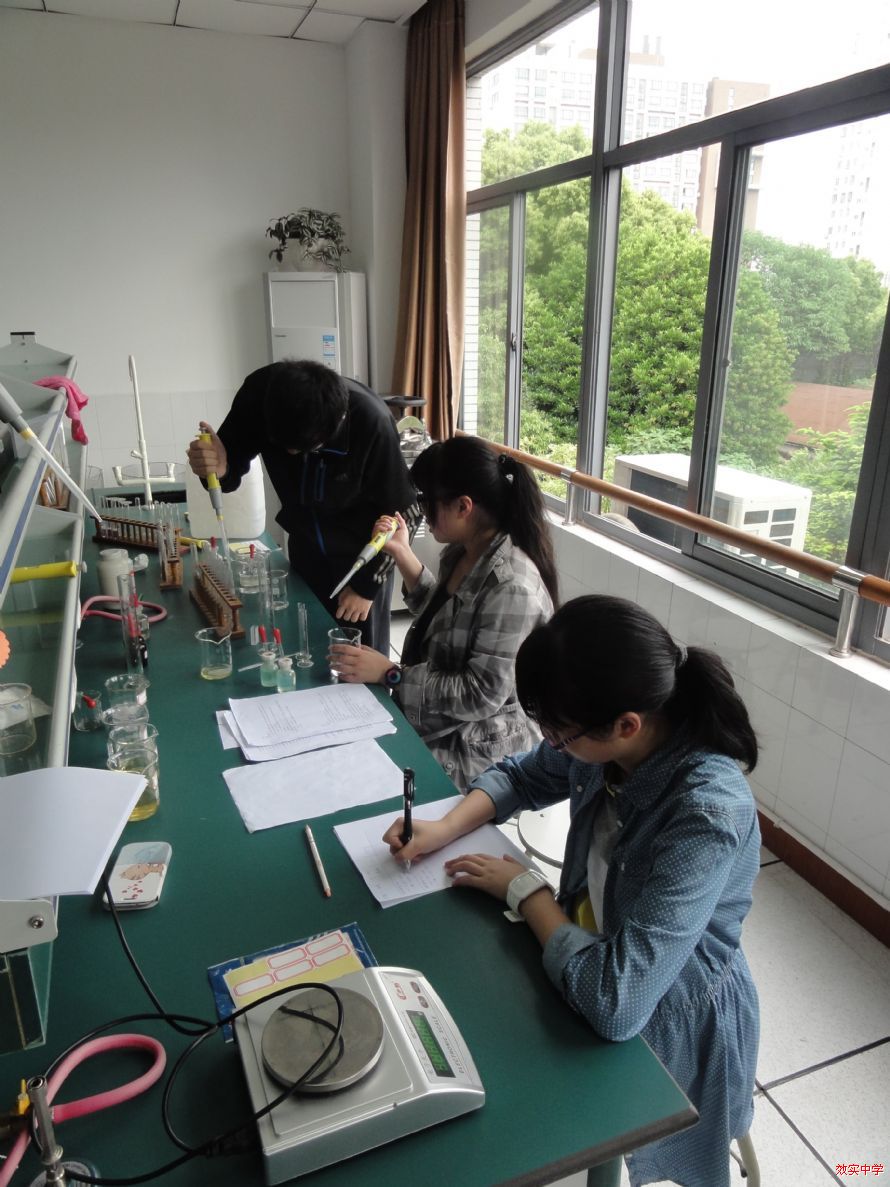 大學物理實驗單擺實驗總結_大學物理實驗 單擺_大學物理單擺實驗實驗報告