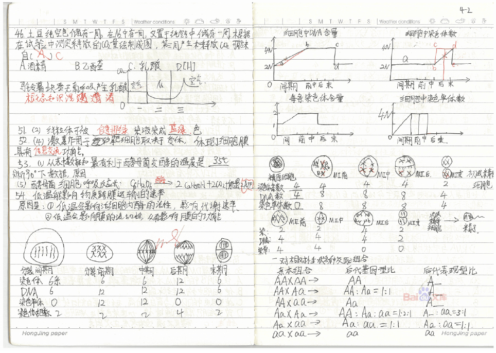 初中物理怎么快速提高成績(jī)_物理初中成績(jī)快速提高的辦法_初中物理如何快速提高成績(jī)