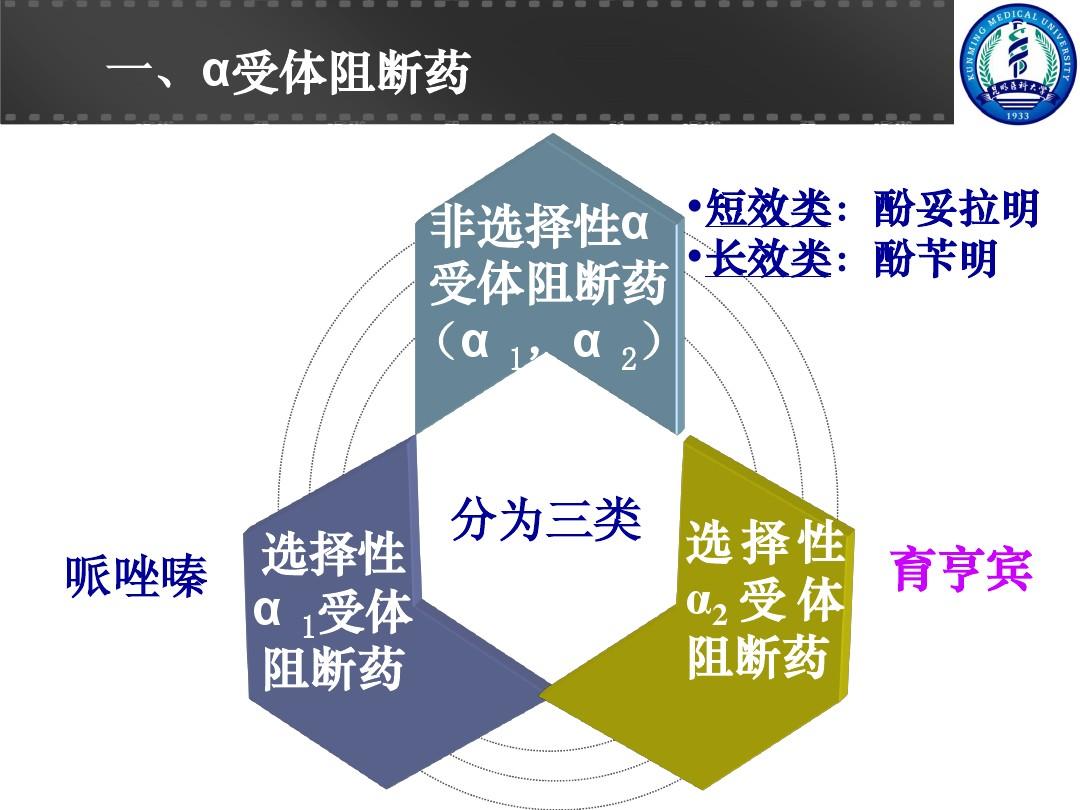細胞膜離子通道_細胞膜離子通透性_膜離子通道學說