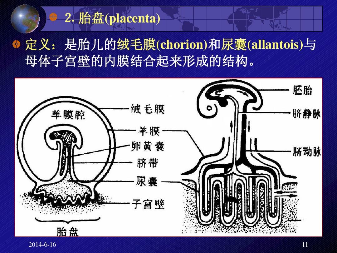 細胞膜流動性表現在哪里_細胞膜流動性_細胞膜流動性定義