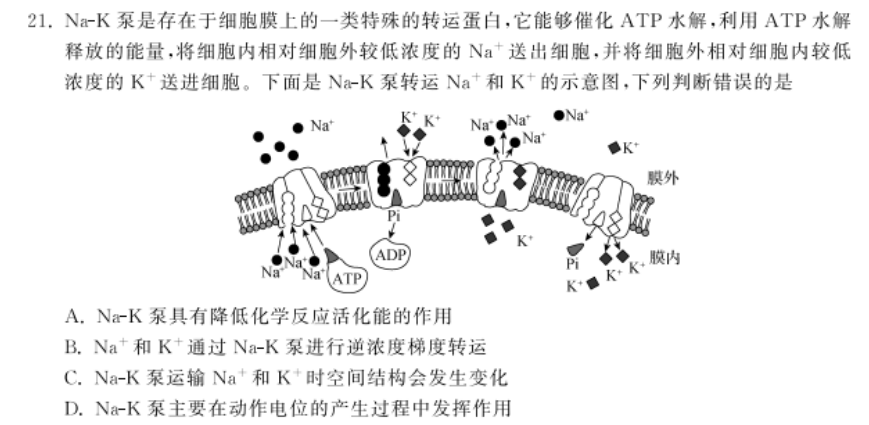 細胞膜結構是什么模型_雙層膜細胞結構_細胞膜結構