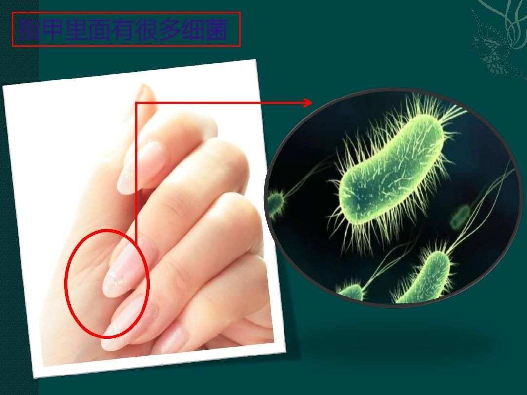 指甲鉗有幾個杠桿_指甲鉗杠桿_杠桿指甲鉗有什么好處