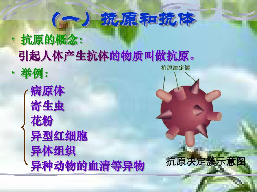 膜抗原的功能_細胞膜抗原_細胞膜分化抗原檢測