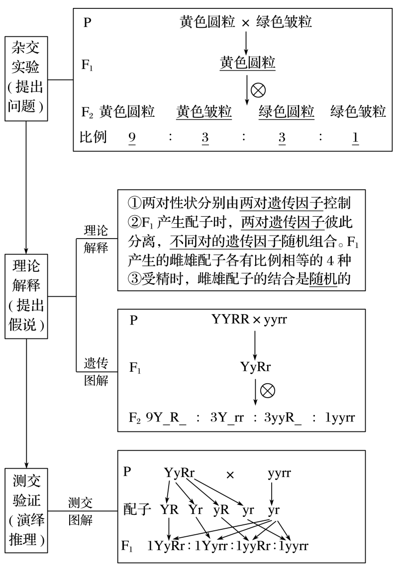 物理人教版電子_八年級(jí)物理電子課本網(wǎng)_物理電子書人教版