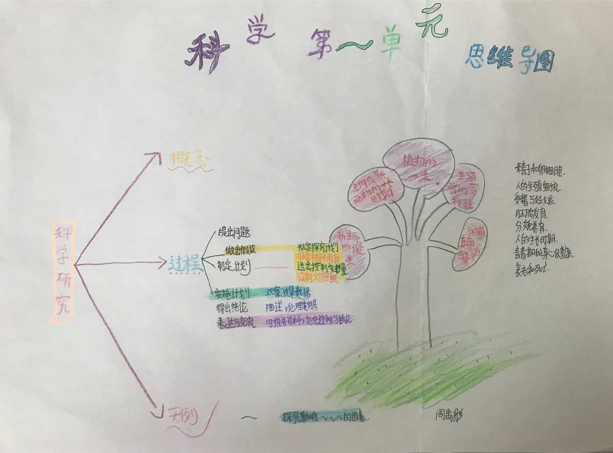 cad建筑圖紙導圖導不進_光現(xiàn)象的思維導圖完整_雨的四季思維結構導圖