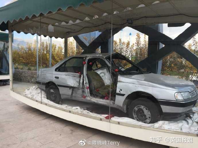 物理學家被刺殺