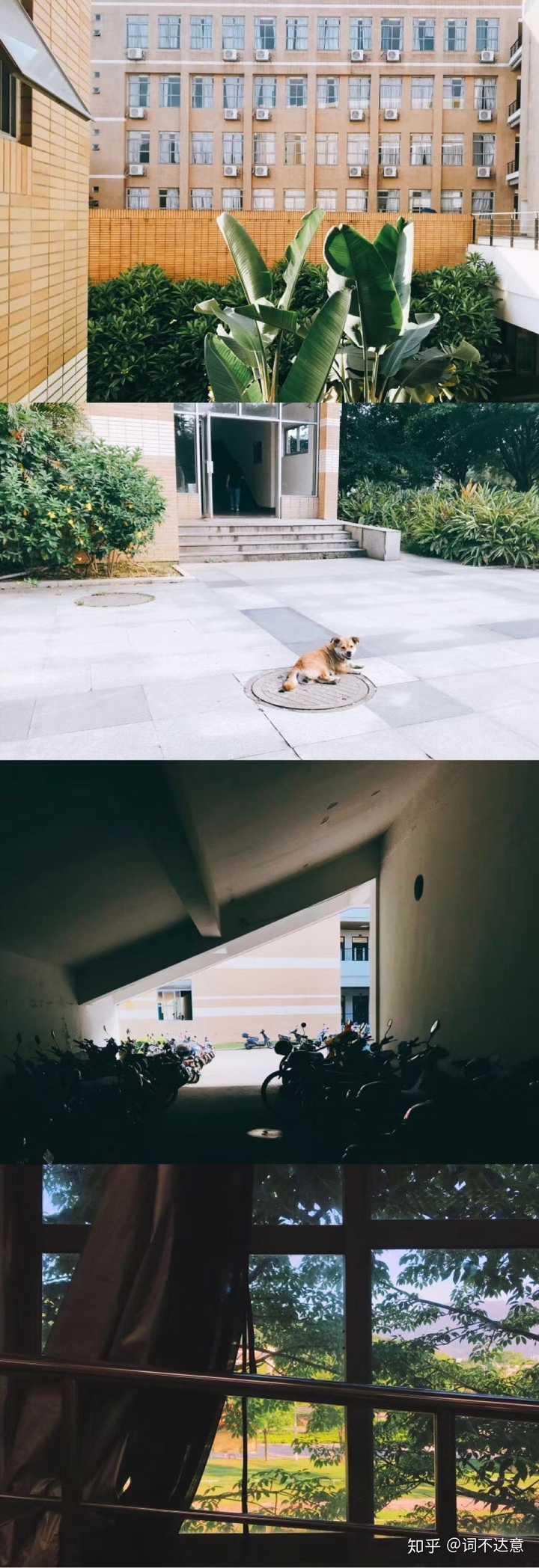 福州大學至誠學院宿舍