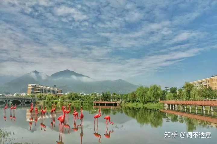 福州大學至誠學院宿舍
