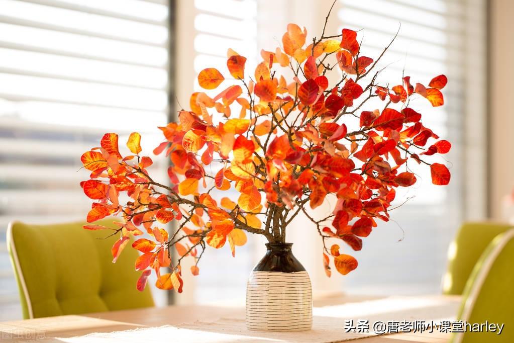 初中物理光成像