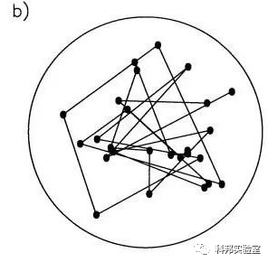 布朗運動是什么運動