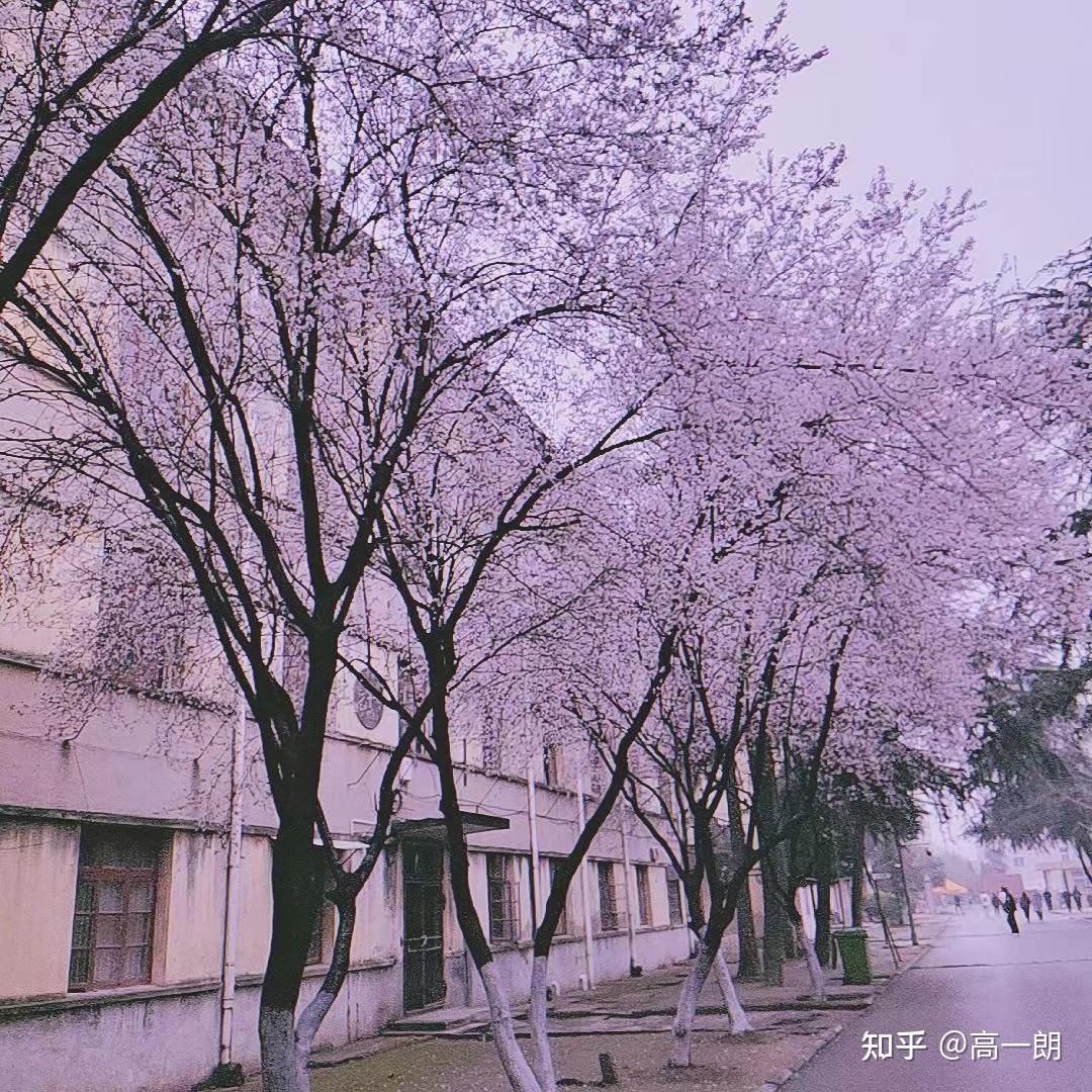 阜陽(yáng)師范學(xué)院地址