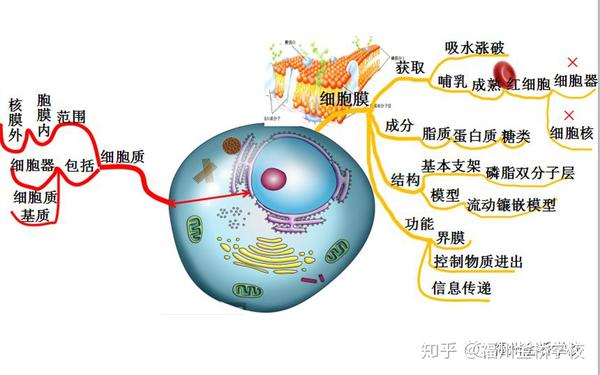 高中物理單元結構教學實踐