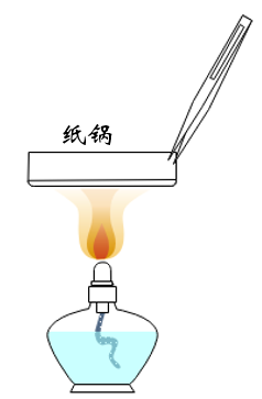 初中物理面試試講