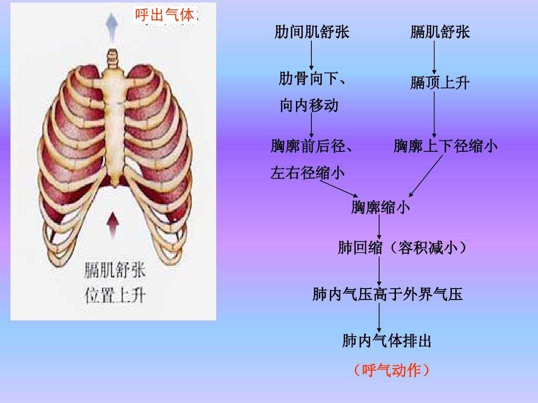 初中物理實(shí)驗(yàn)報(bào)告