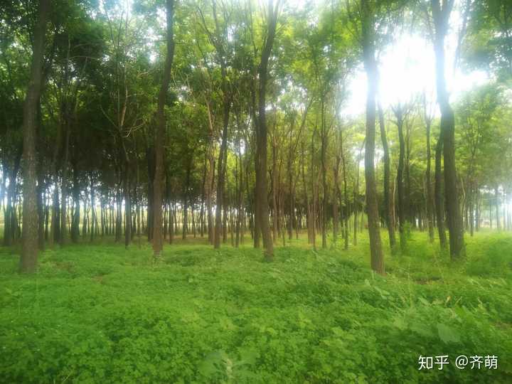 甘肅民族師范學院怎么樣