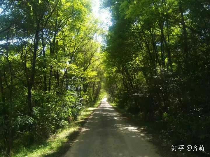 甘肅民族師范學院怎么樣