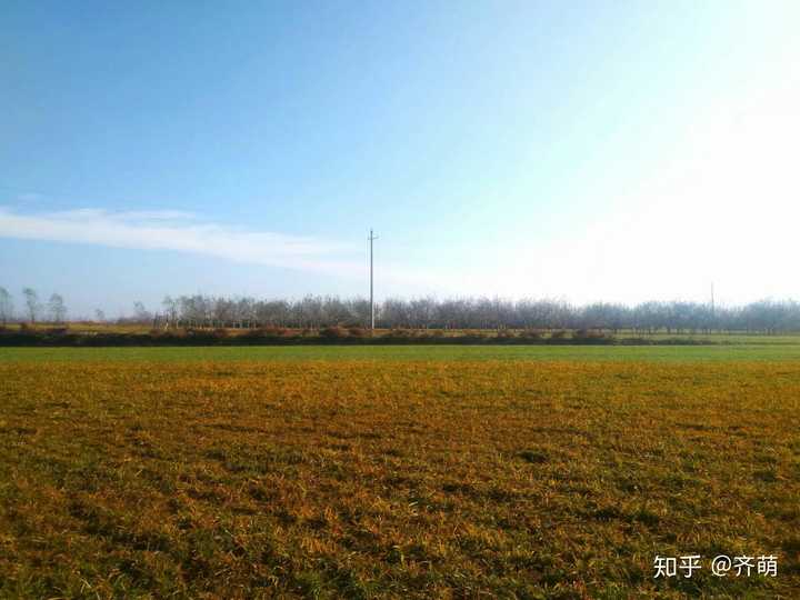 甘肅民族師范學院怎么樣