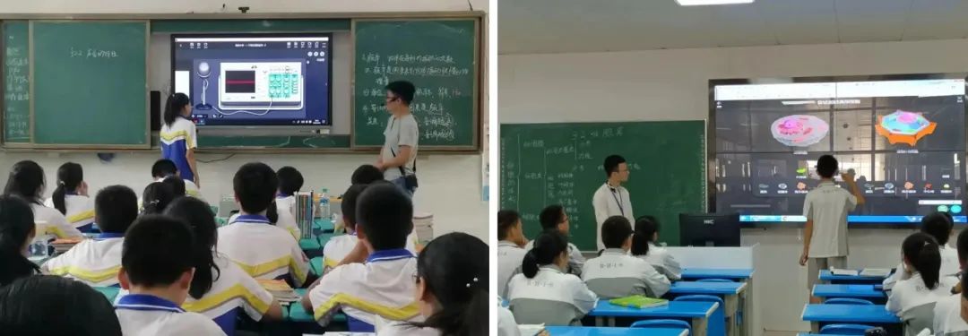 楞次定律課件