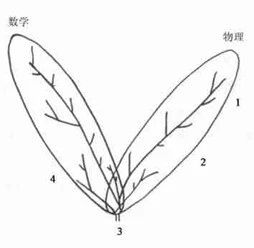 物理學家森堡
