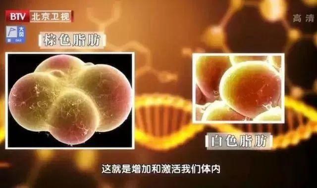 內能與什么有關