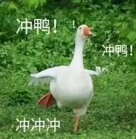 質心物理競賽課程