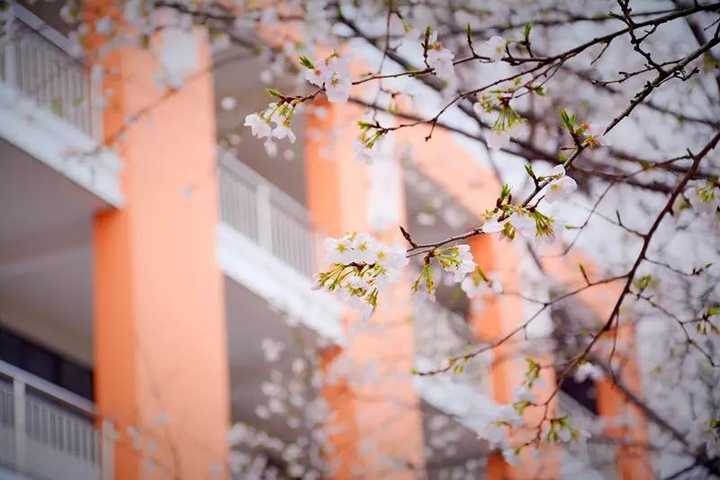 贛南師范大學怎么樣