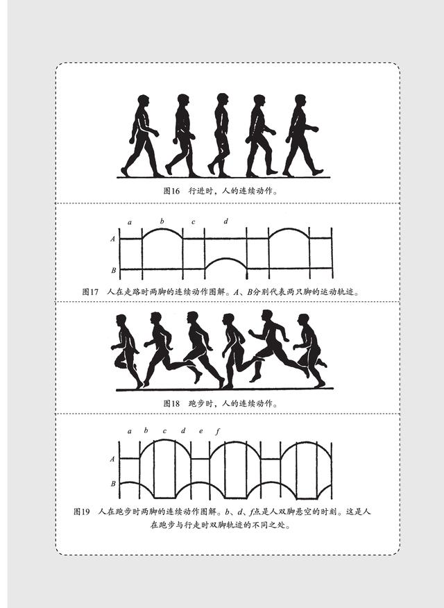 不是物理學家的科學家