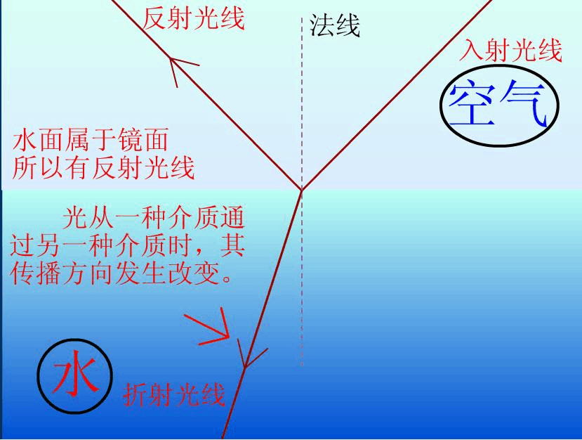 初中物理量是