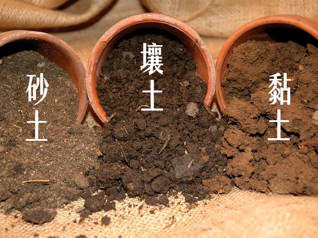 高中物理視頻網盤