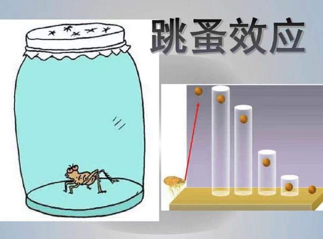 初中物理最重要的