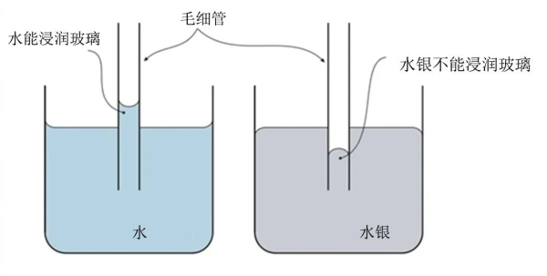水的毛細(xì)現(xiàn)象