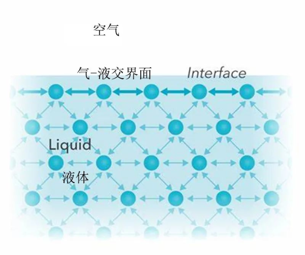 水的毛細(xì)現(xiàn)象