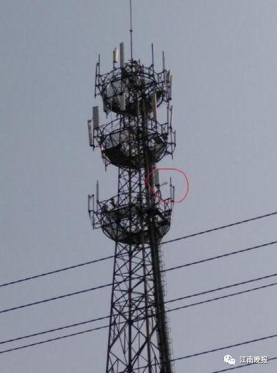 這貨可惡！污耳、騙錢，還危害電梯、航空甚至國家安全！一旦發現速打110！