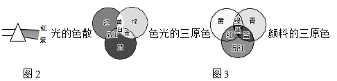初中物理凹凸鏡